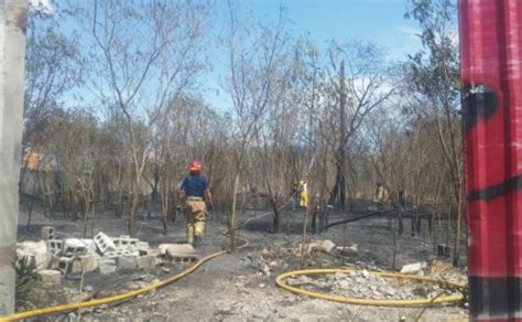 Arde lote baldío en avenida Universidad