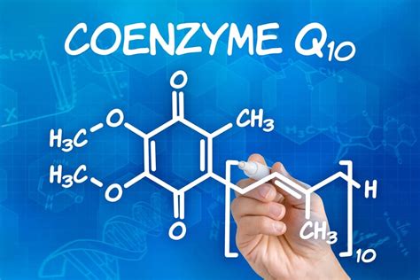 Coenzyme Q10: A Vital Antioxidant That May Bring Health Benefits - The ...