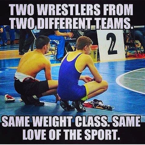 Tag Someone Who Loves This Sport Wrestling Quotes Olympic Wrestling