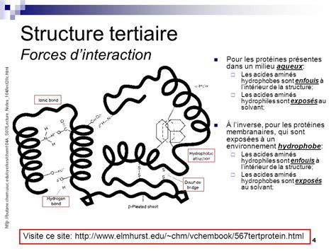 Molécule organique Mind Map