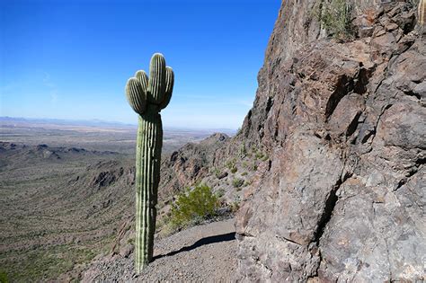 Picacho Peak State Park