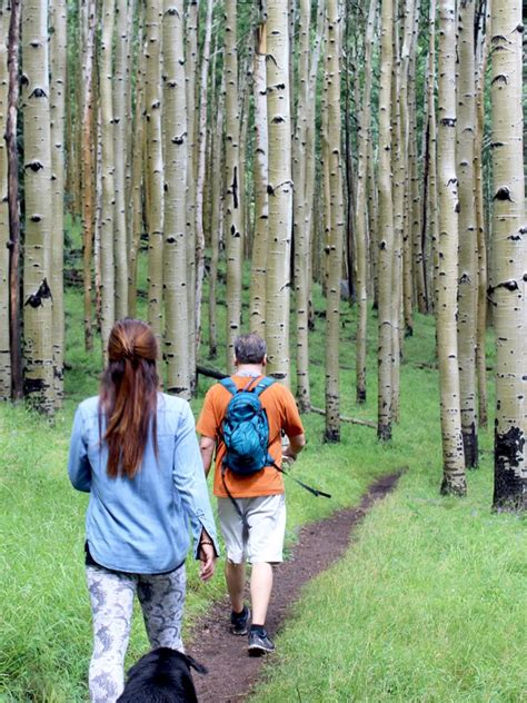 Flagstaff S Easy Inner Basin Hiking Trail Is Aspen Heaven Arizona