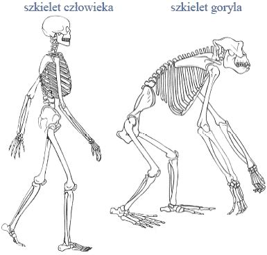 Zadanie Dwmed Pl Zbi R Zada Z Biologii I Chemii