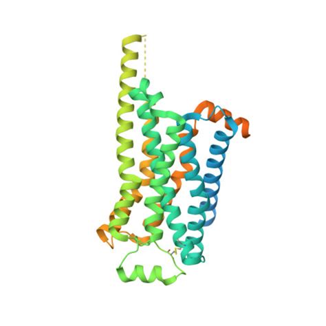 RCSB PDB 8GE6 CryoEM Structure Of Beta 2 Adrenergic Receptor In