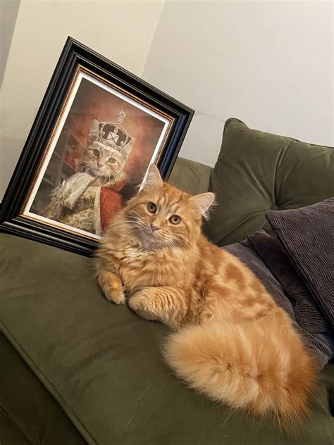 The King Custom Vintage Pet Portrait · Purr And Mutt