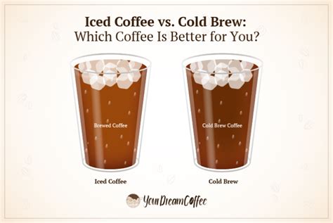 Iced Coffee vs. Cold Brew: Which Coffee Is Better for You?