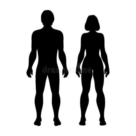 Siluetas Del Cuerpo Humano Del Hombre Y De La Mujer Con Los Indicadores