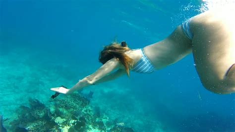 Key Largo Dry Rocks Christ Of The Abyss Dive YouTube