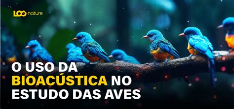 O Uso Da Bioac Stica No Estudo Das Aves