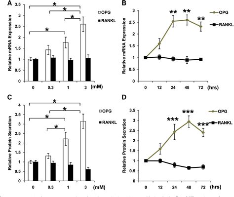 Figure 2 From The Cross Talk Between Osteoclasts And Osteoblasts In