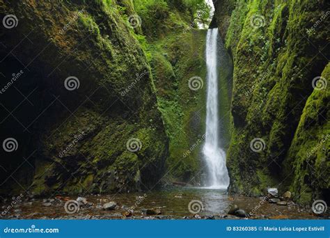 Lower Falls In Oneonta Gorge Columbia River Gorge Stock Image Image