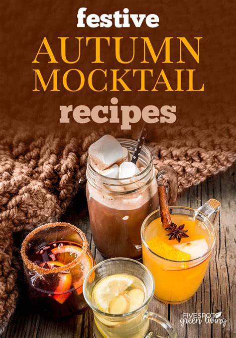 Festive Autumn Mocktails Recipes Five Spot Green Living