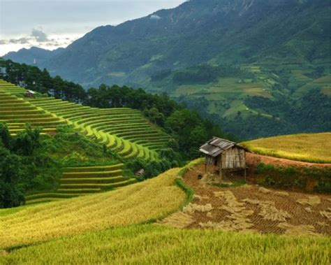 Top 4 Best Sapa Trekking Tour From Hanoi 2024