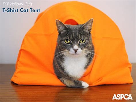 T Shirt Cat Tent