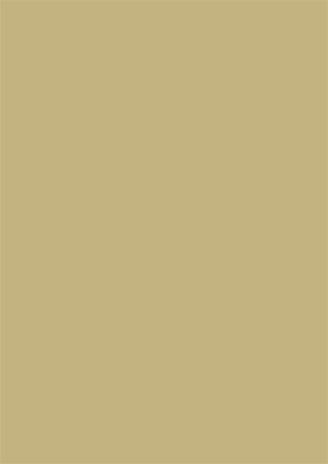 2480x3508 Sand Solid Color Background