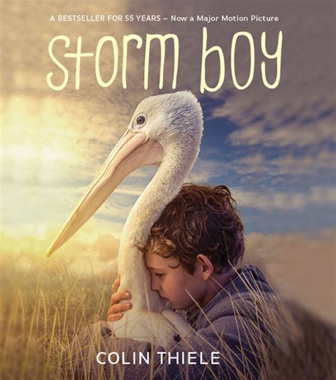 Storm Boy Picture Book (Paperback) - Walmart.com - Walmart.com