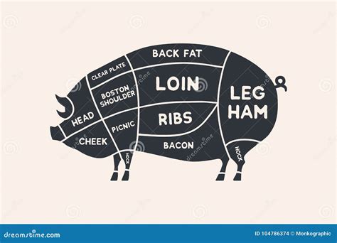 Meat Cuts Of Pork Vector Pig Silhouette Isolated On White Background