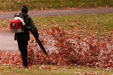 You Hate Leaf Blowers Your Neighbor Uses Them How One Town Seeks