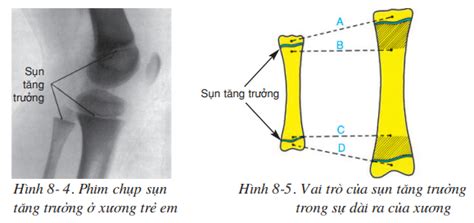 Củng Cố Kiến Thức