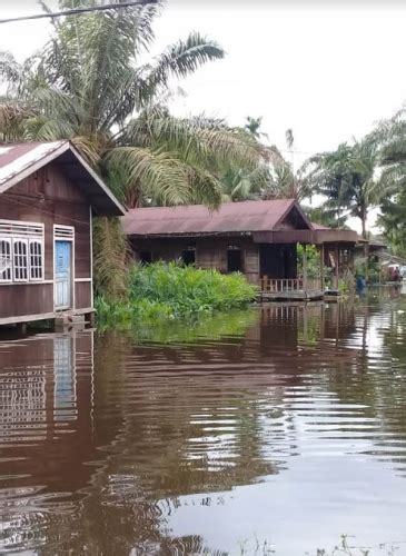 Goriau Debit Air Sungai Kampar Mulai Naik Ini Yang Dilakukan Bpbd