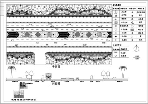 道路绿化横断面图道路及高速公路绿化设计图土木在线