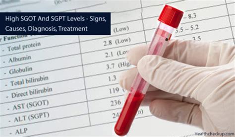 High Sgot And Sgpt Levels Symptoms Causes Diagnosis Treatment