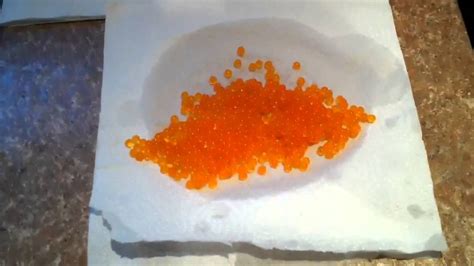 1 Best Recipe For Salmon And Steelhead Rainbow Roe Eggs Youtube