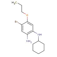 Bromo N Cyclohexyl Propoxybenzene Diamine