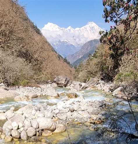 Himalayan glacier retreat: impacts on river ecosystems - NERC Panorama DTP