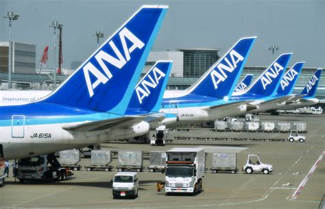 Ana、4年ぶりca新卒採用 グループ34社2700人、24年度入社