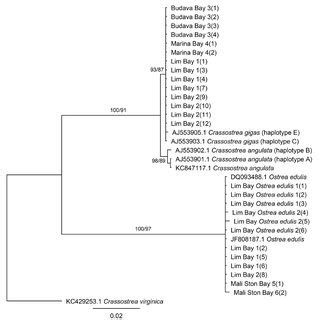 Phylogenetic Tree Inferred By The Bayesian And Maximum Likelihood