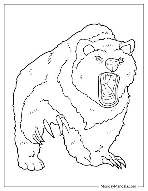 30 Bear Coloring Pages Free Pdf Printables