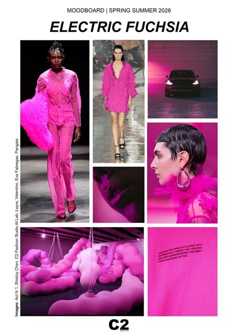 Fashion Trends S S 2026 Moodboard Electric Fucshia In 2024 Color