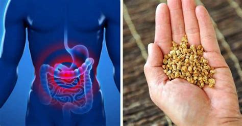 The Exact Amount Of Fiber You Need To Boost Digestion, Weight Loss, and ...