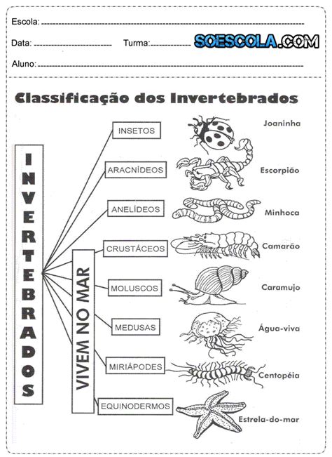 Atividades De Ci Ncia Animais Vertebrados E Invertebrados S Escola