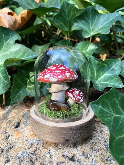 Amanita Muscaria Mushroom Terrarium Handcrafted Oddity Mushroom Decor