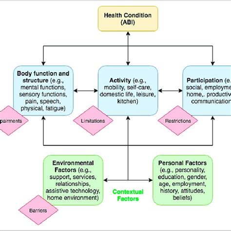 Summary Of International Classification Of Functioning Disability And