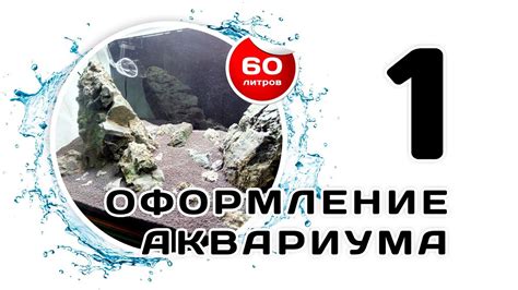 Оформление моего аквариума 60 л. Часть 1. Несколько советов по запуску ...
