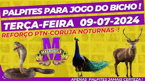 REFORÇO CORUJA PALPITES DIA 09 07 2024 DO JOGO DO BICHO TERÇA FEIRA