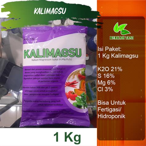 Kalimagsu Kg Pupuk Kalium Silika Pencegah Boler Moler Umbi Dan