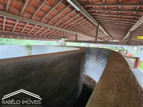 Fazenda Em Gravat Hectares Terrenos S Tios E Fazendas Rea