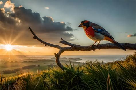 Un P Jaro Est Posado En Una Rama Con La Puesta De Sol Detr S De L