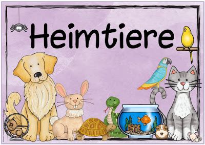 Ideenreise Blog Themenplakat Haustiere Heimtiere