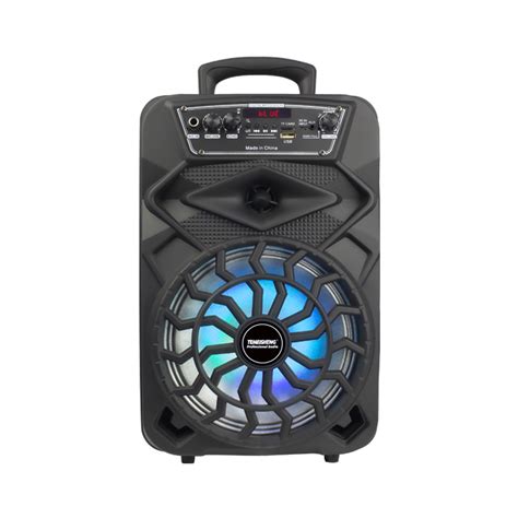 Temeisheng Factory 8 Inch Wireless Portable Powerful Karaoke Outdoor