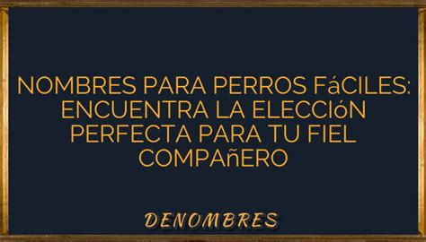 Nombres Para Perros F Ciles Encuentra La Elecci N Perfecta Para Tu