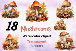 Watercolor Mushrooms Clipart Graphic By Creativedesign Creative Fabrica