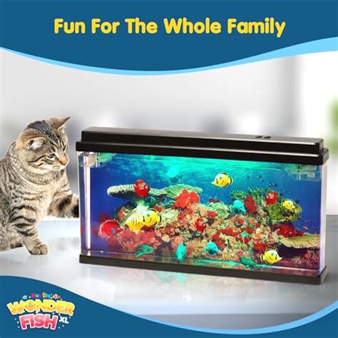 Best Fake Fish Tanks Of Reviews Comparison Bdr