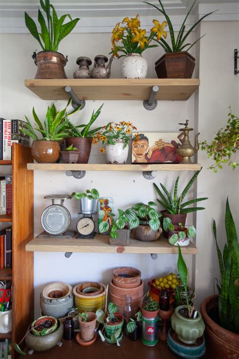 How To Display Houseplants 65 Of Our Favorite Plant Display Ideas