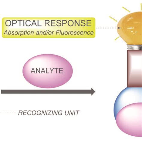 Schematic Representation Of A Colorimetric Fluorescent Chemosensor