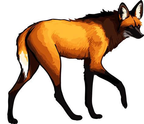 Download Maned Wolf, Animal, Mammal. Royalty-Free Vector Graphic - Pixabay